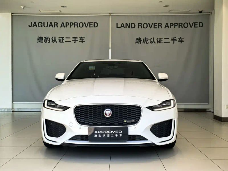 Jaguar xel