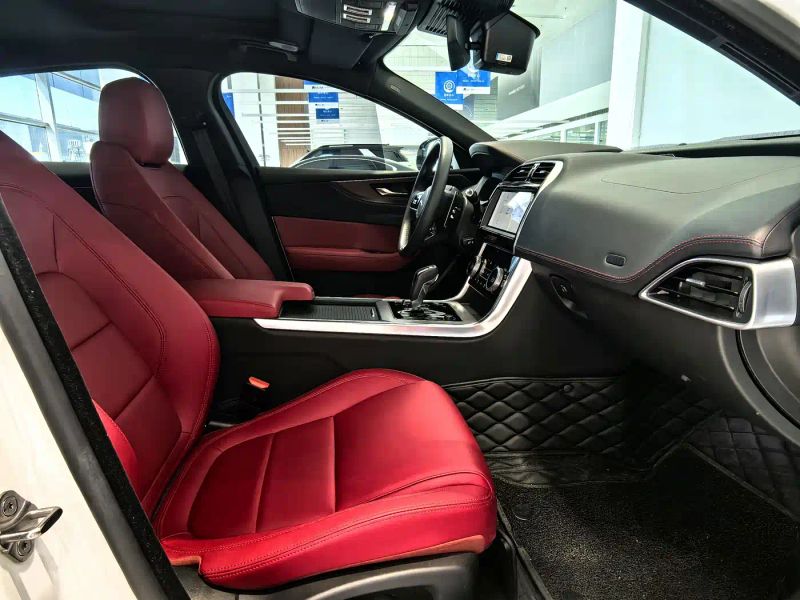 Jaguar xel