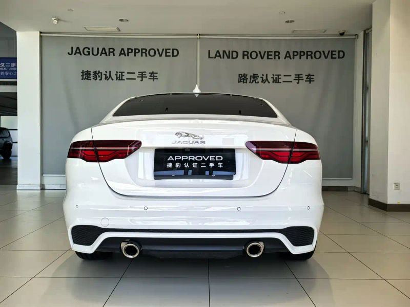 Jaguar xel