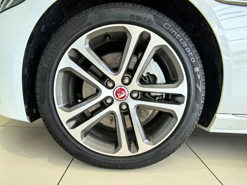 Jaguar xel