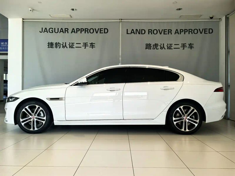Jaguar xel
