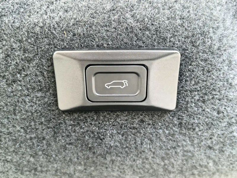 Jaguar xel