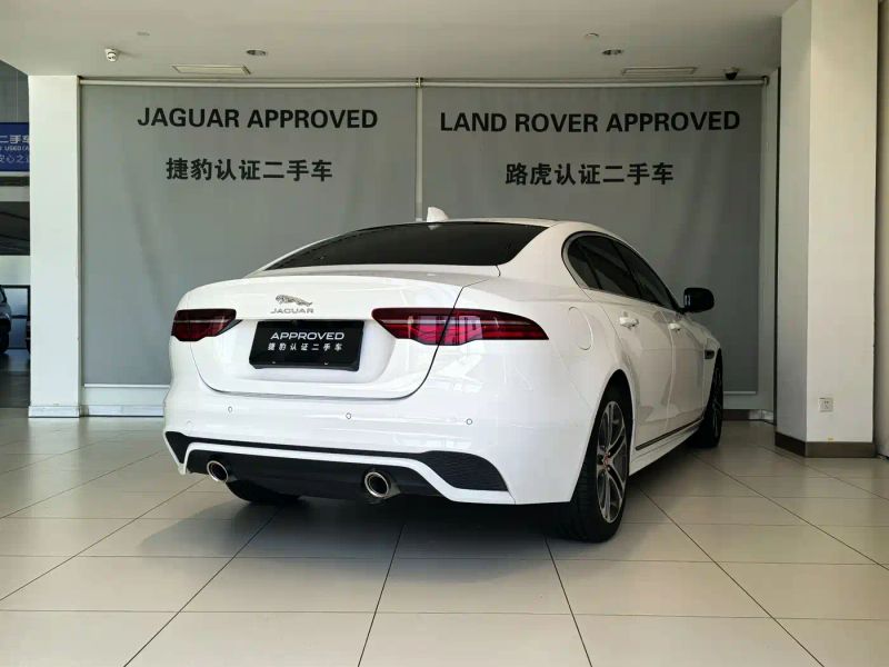 Jaguar xel
