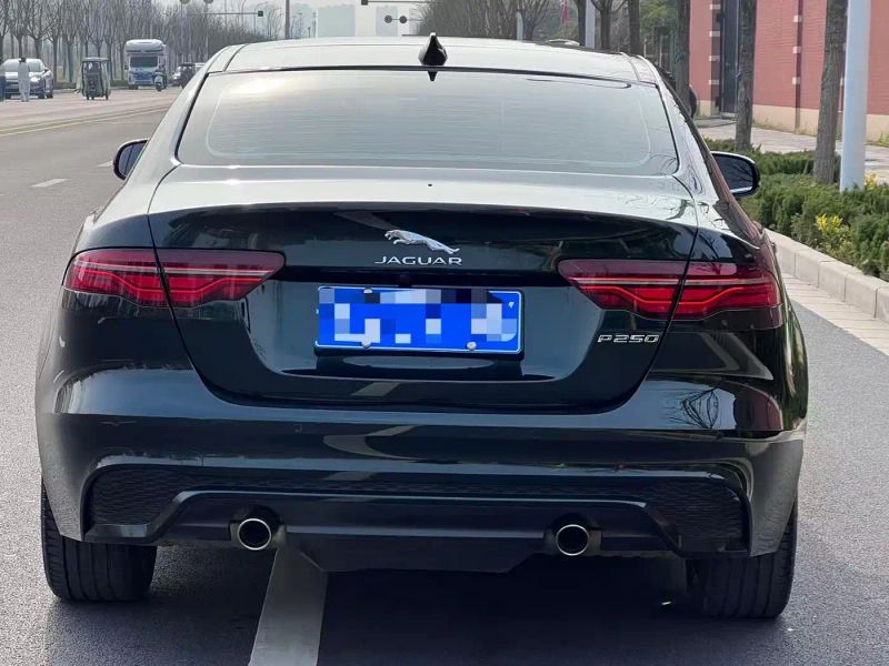 Jaguar xel