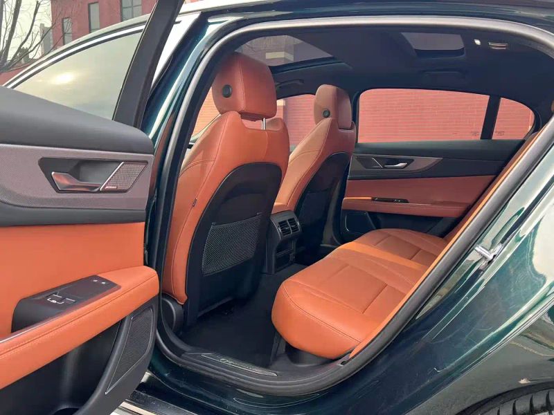Jaguar xel