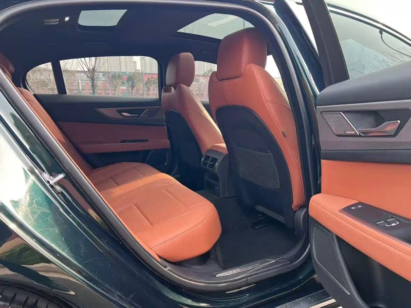 Jaguar xel