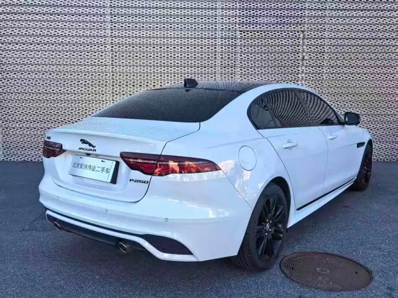 Jaguar xel