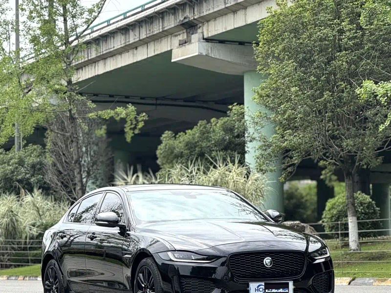 Jaguar xel