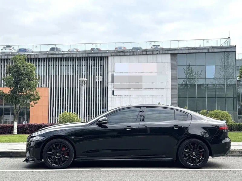 Jaguar xel