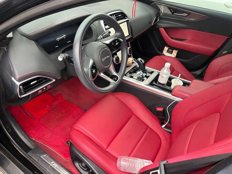 Jaguar xel