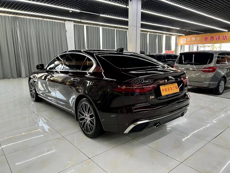 Jaguar xel