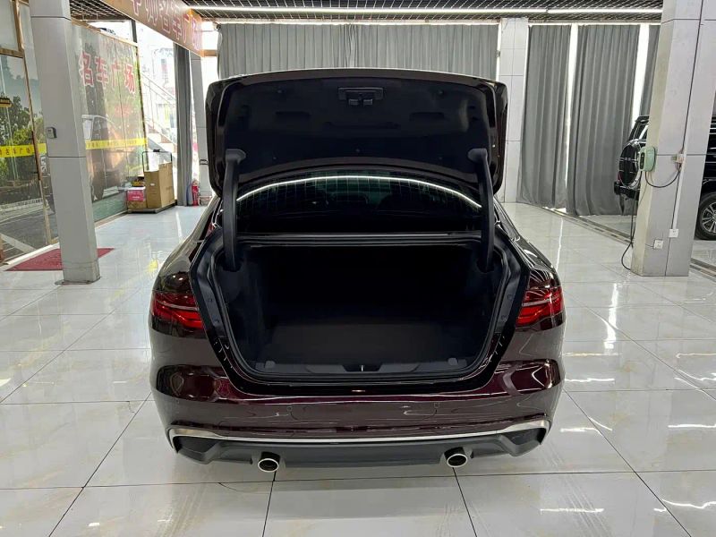 Jaguar xel