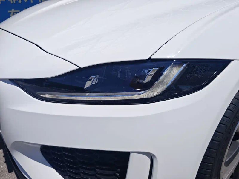 Jaguar xel