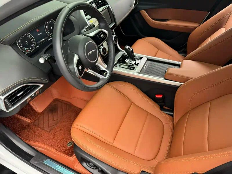 Jaguar xel