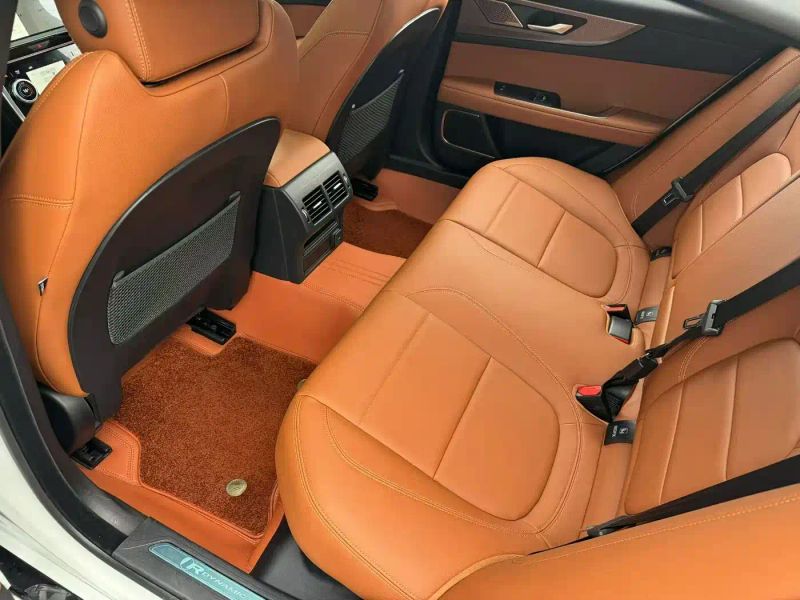 Jaguar xel