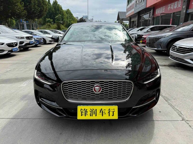 Jaguar xel