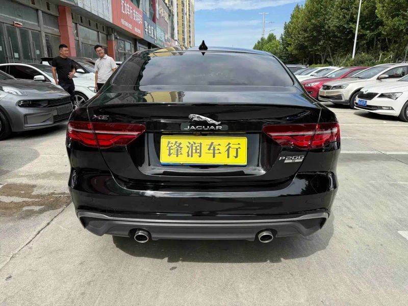 Jaguar xel