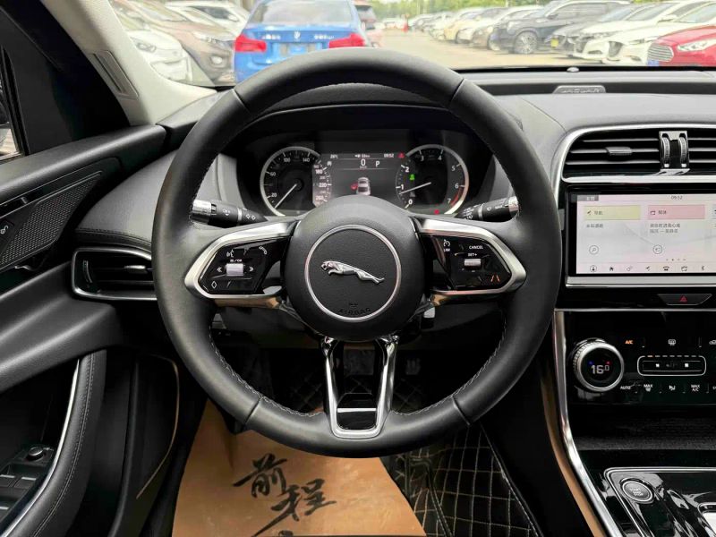 Jaguar xel