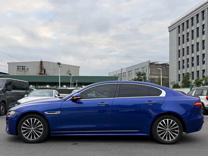 Jaguar xel