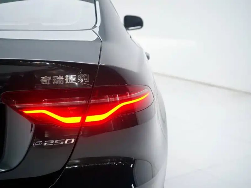 Jaguar xel