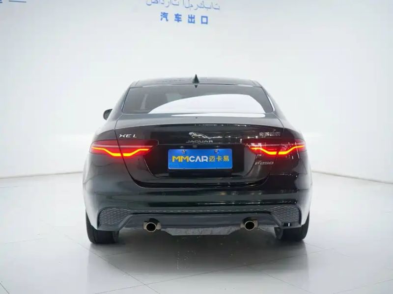Jaguar xel