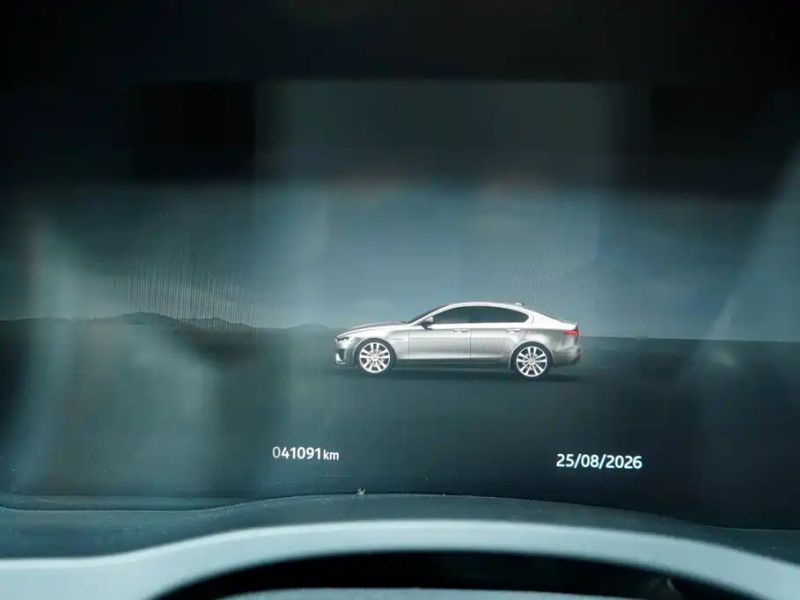 Jaguar xel