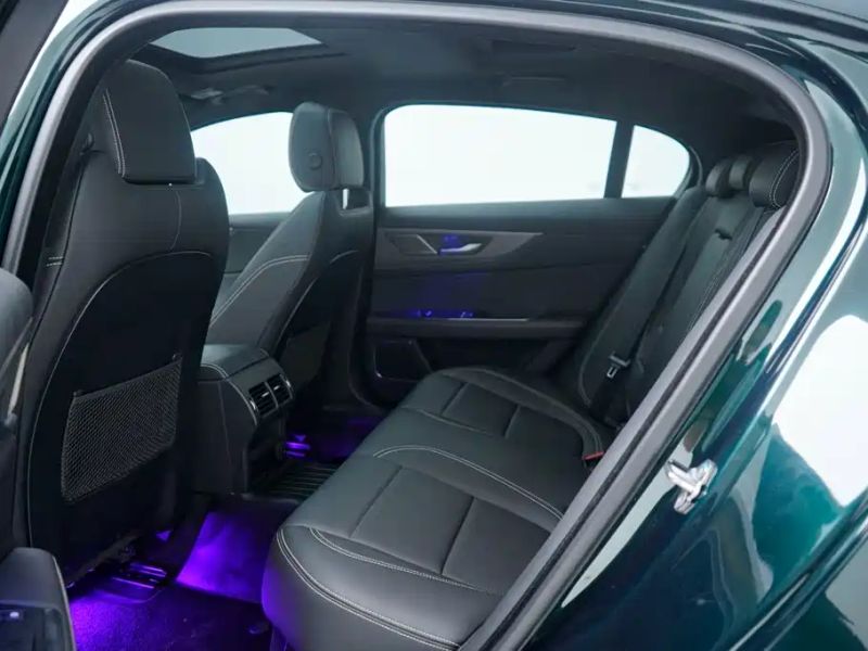 Jaguar xel