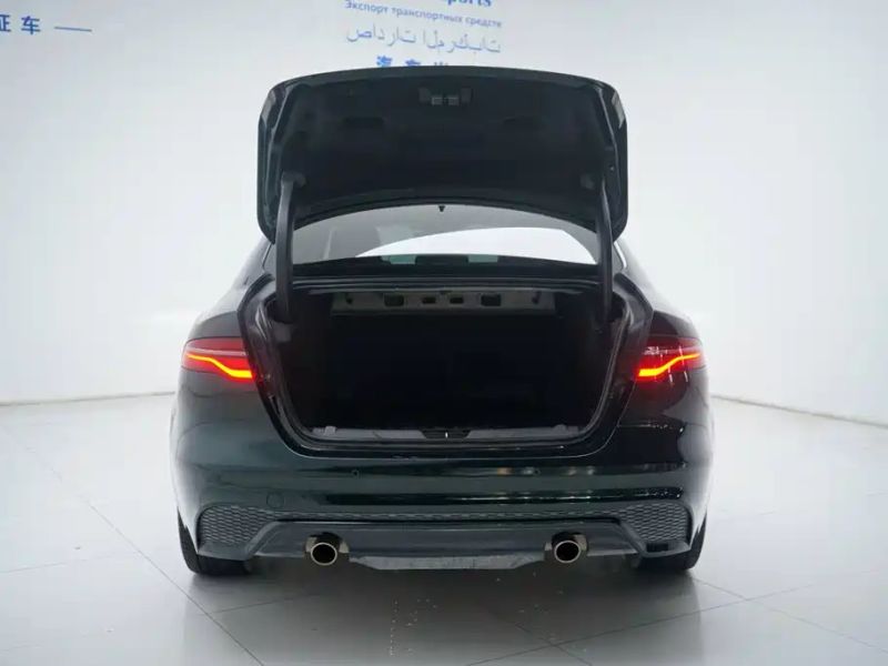 Jaguar xel