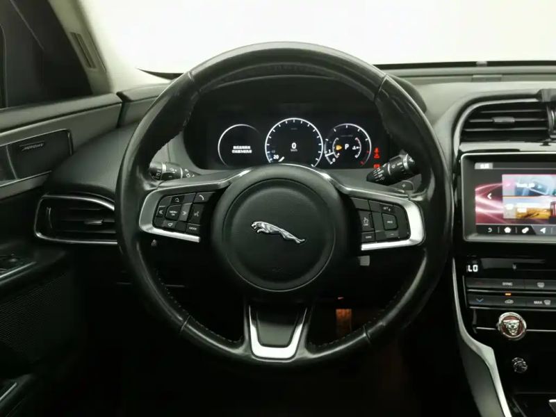 Jaguar xel