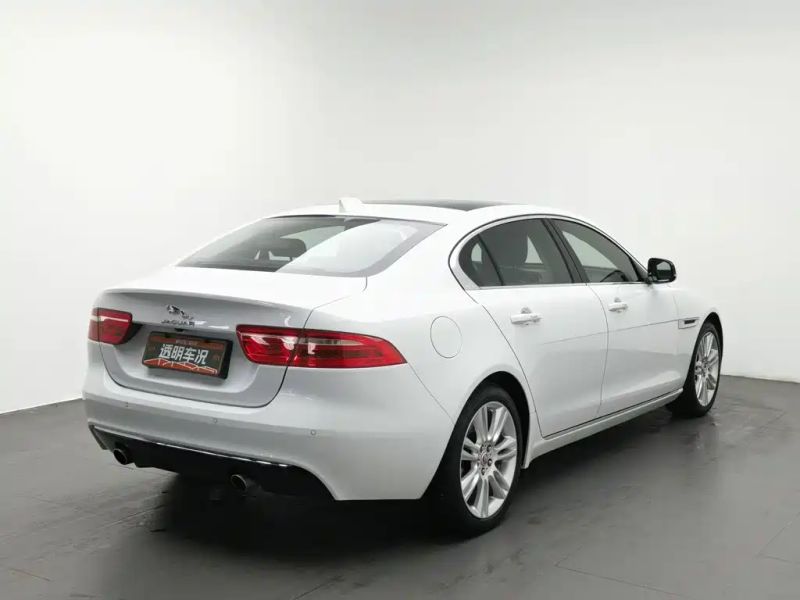 Jaguar xel