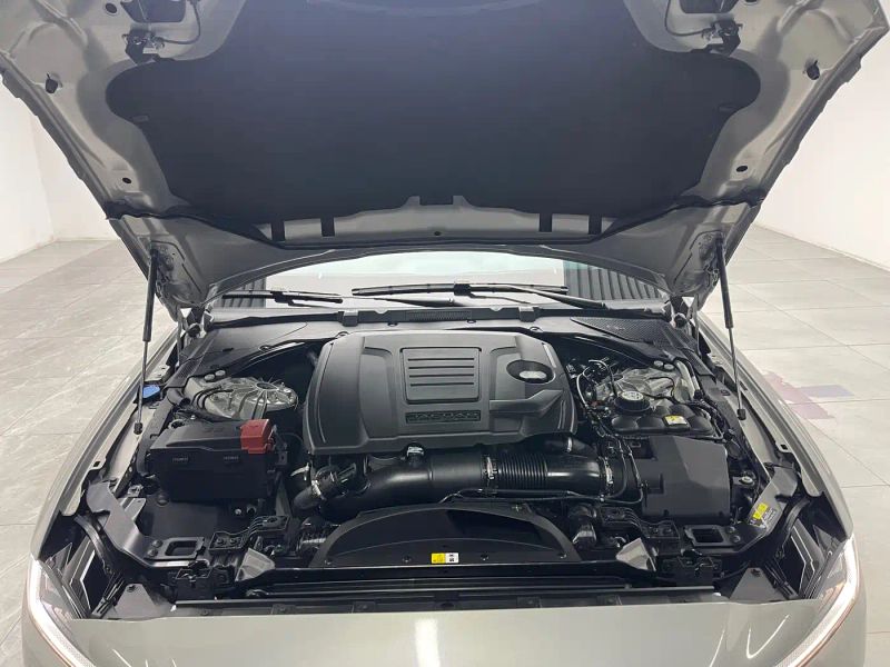 Jaguar xel