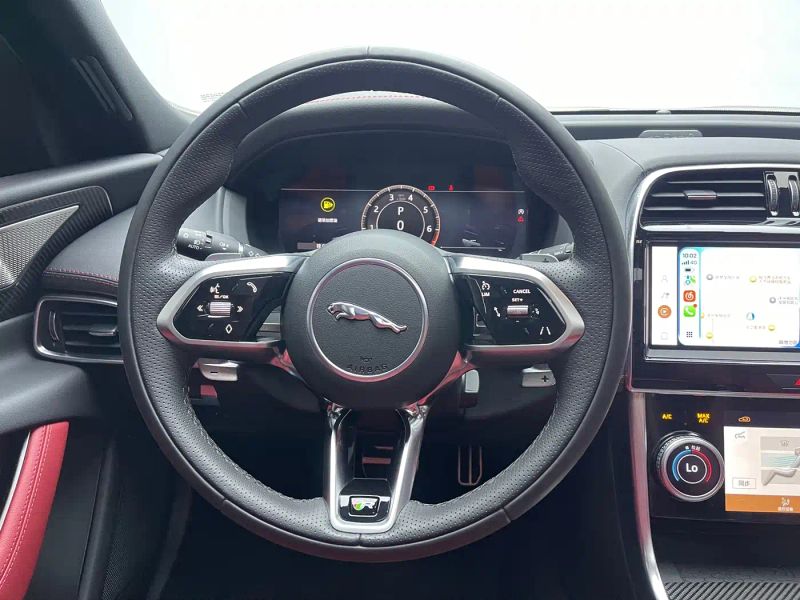 Jaguar xel