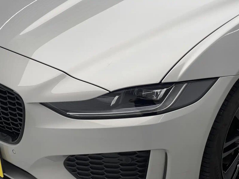 Jaguar xel