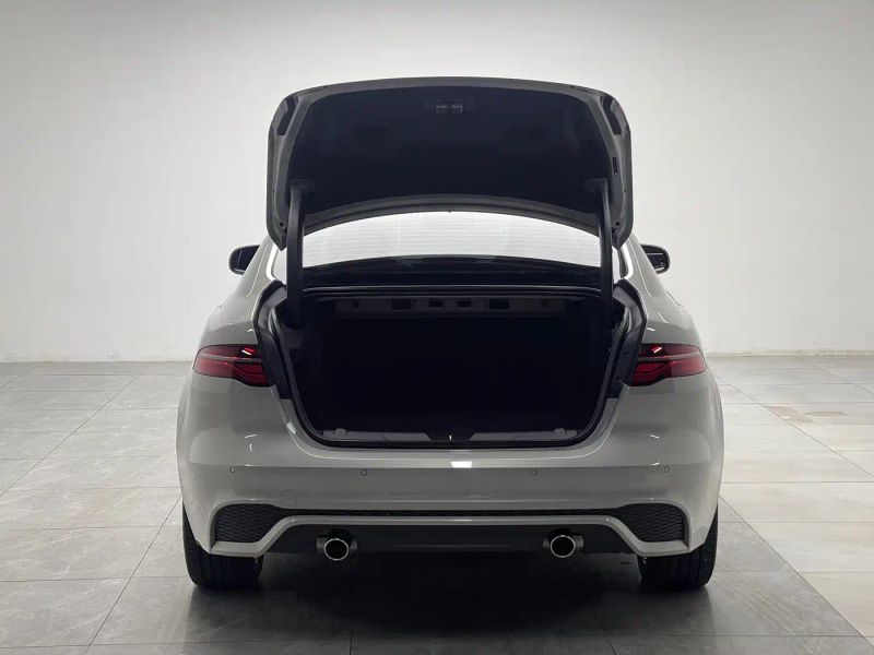 Jaguar xel