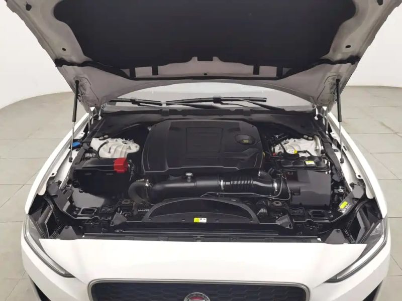 Jaguar xel