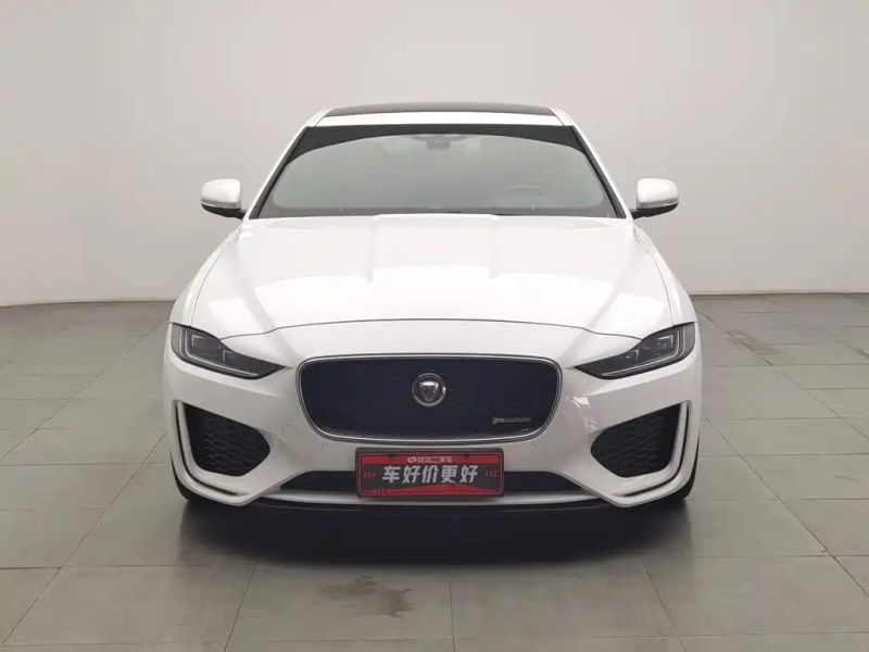 Jaguar xel
