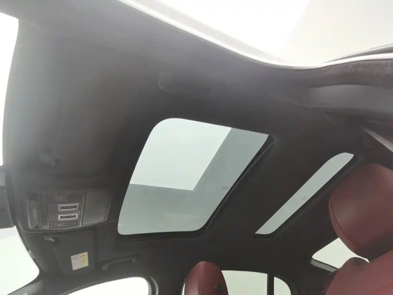 Jaguar xel
