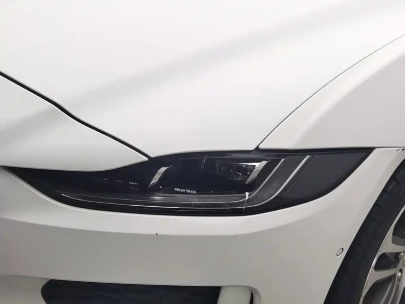 Jaguar xel