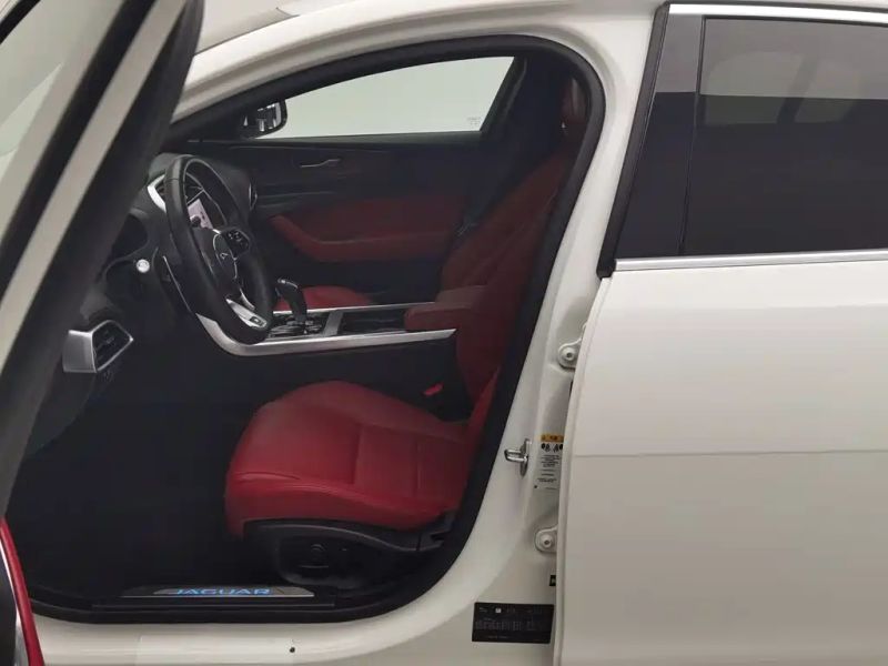 Jaguar xel