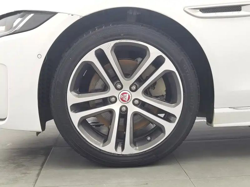 Jaguar xel
