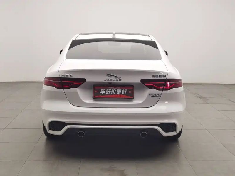 Jaguar xel