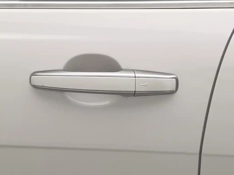 Jaguar xel