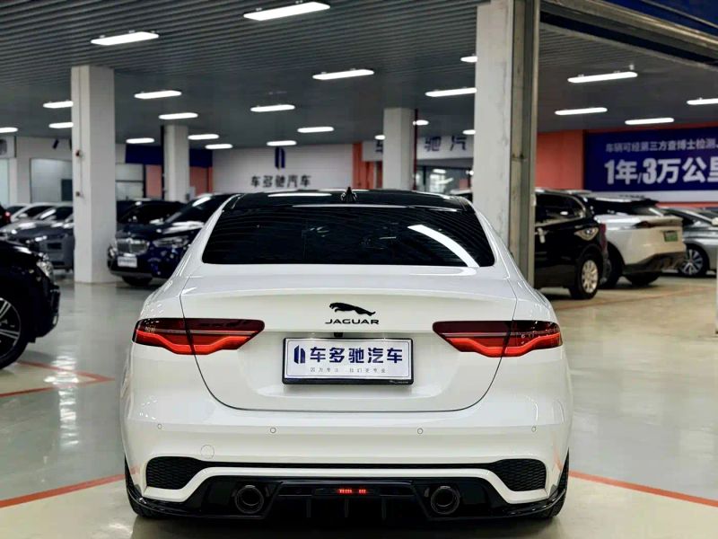 Jaguar xel