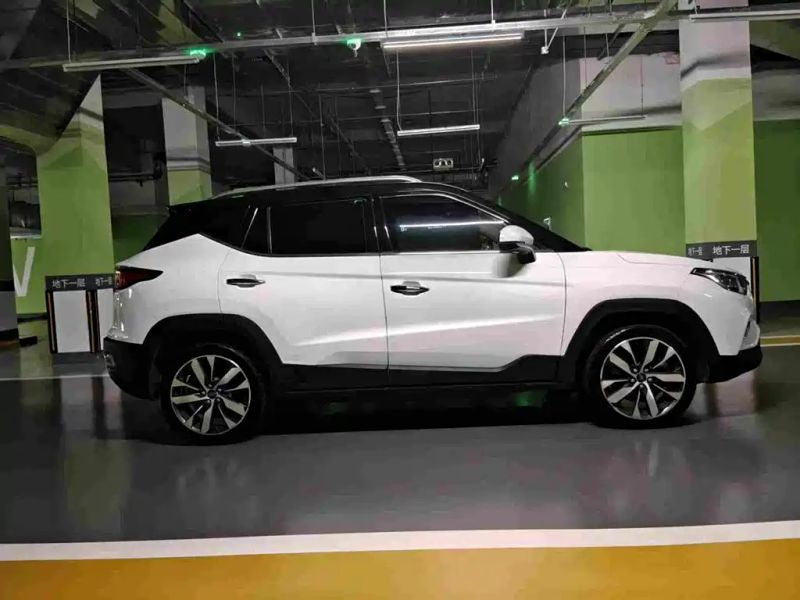 ruifeng ievs