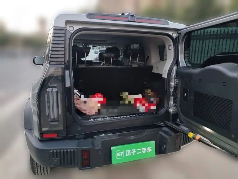 Jetour traveler