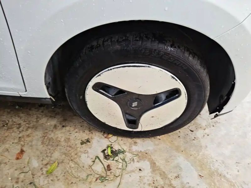 yizhi ev2