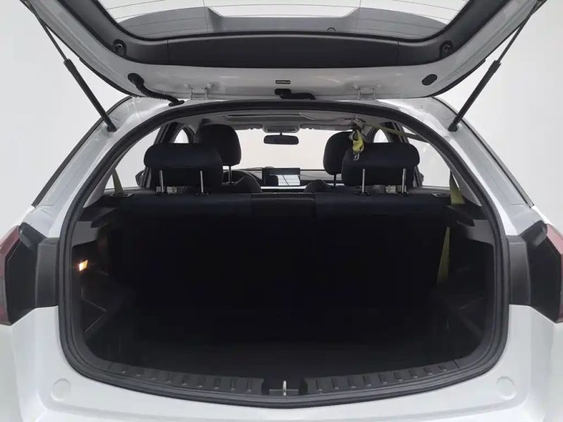 Geely gongfunium