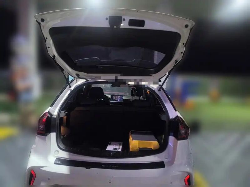 Geely gongfunium