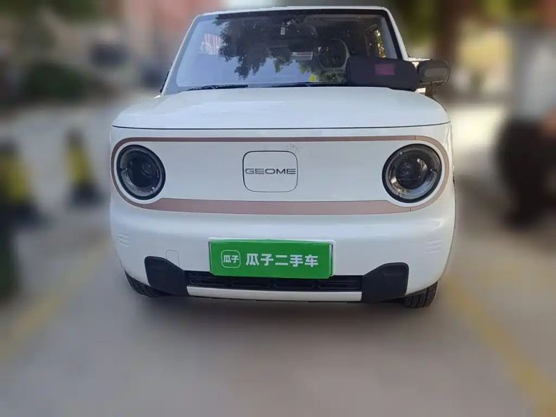 xingyuan pandamini