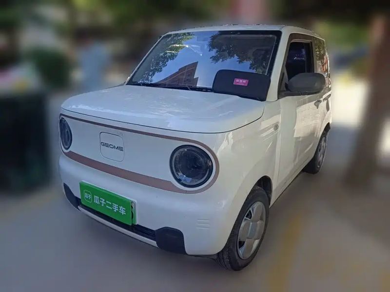 xingyuan pandamini